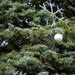 A close-up of a decorated Christmas tree with snowflakes and a silver bauble among lush green branches.