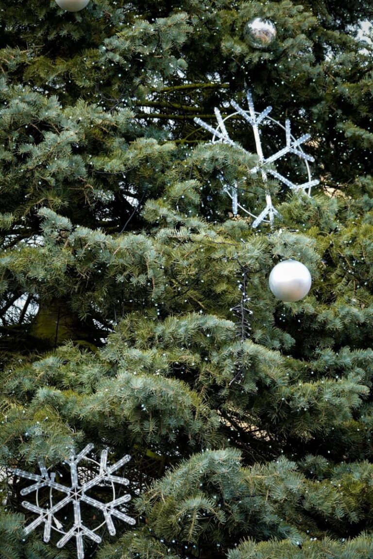 A close-up of a decorated Christmas tree with snowflakes and a silver bauble among lush green branches.